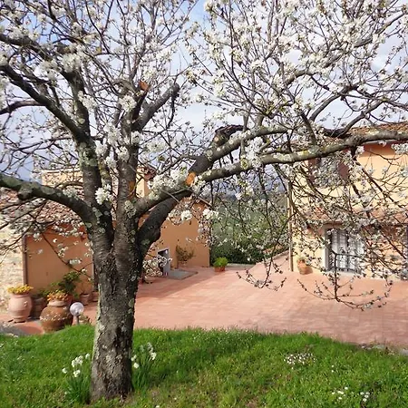Podere Capiteto Alojamento de Turismo Rural *