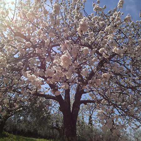 Alojamento de Turismo Rural Podere Capiteto *
