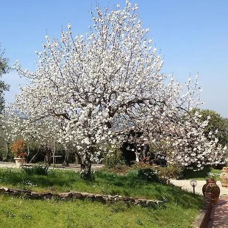 Alojamento de Turismo Rural Podere Capiteto